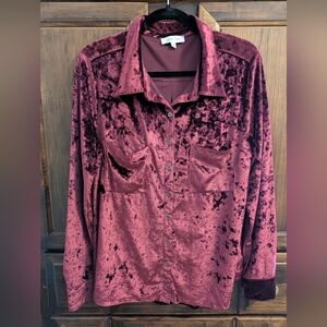 NWOT G&L Tinsel Velvet Button Up in Mulberry